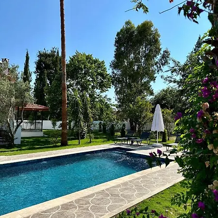 Misli - Red/ Ortaca (Mugla)