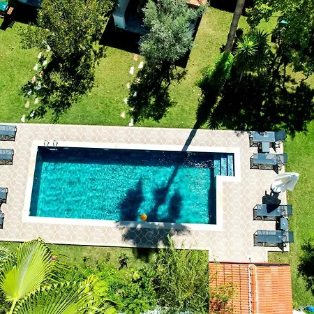 Misli - Red/ Ortaca (Mugla)