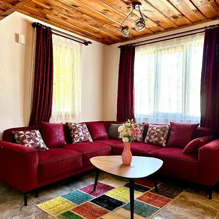 Misli - Red/ Villa *