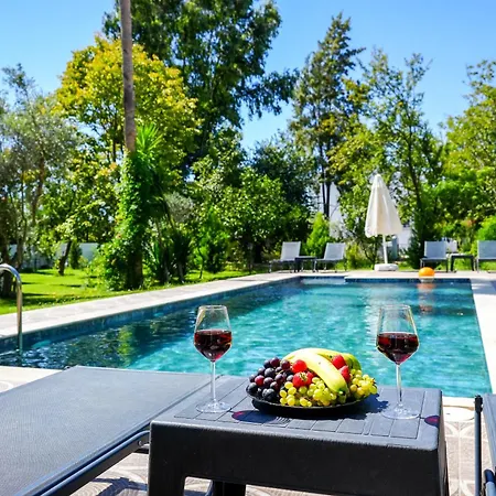 Misli - Red/ * Ortaca